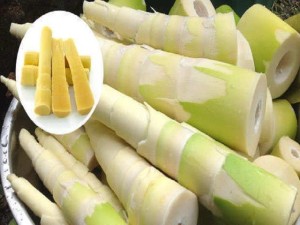 Bamboo-Shoot-Veduru-Chiguru-180813