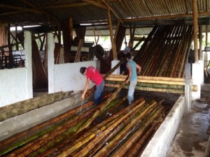 Bamboo Flooring-1