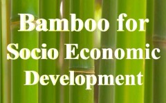Bamboo for social economic development