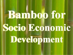 Bamboo for social economic development