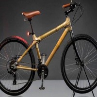 godrej bamboo bicycle price