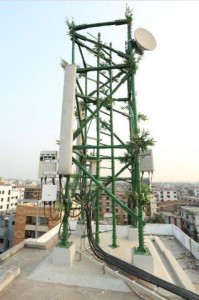 Bangaladesh Bamboo Cell tower - Copy