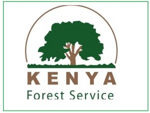 kenya forst service