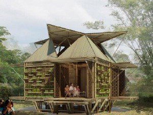 bamboo homes