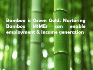 bamboo image 2