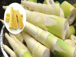 Bamboo-Shoot-Veduru-Chiguru-180813