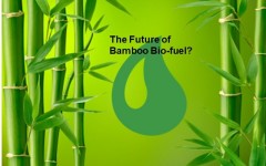 Bio-Fuel