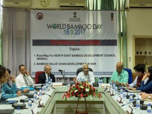 World BAmboo Day Technical Session Chaired By DoNER Secretary